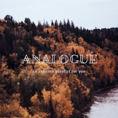 Analogue: An Autumn Playlist for You