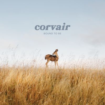 Corvair - "Wrong Again"