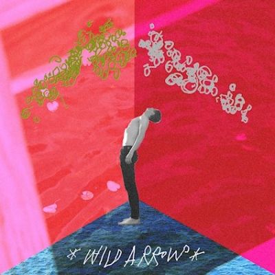 Wild Arrows - "Got to Know"